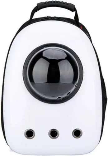 Tuyiutm LAAFDAybgp̃|[^uobOBJvZ^ŒʋCɗDAyʂŎ^т₷A萫AUی삵܂BLXƂ|PbǵALvAhCuAsAЊQ~AAa@ւ̒ʉ@ɍœKłB (E)