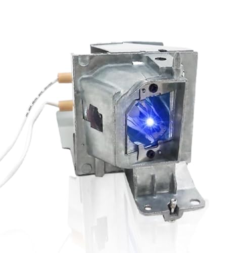 MC.JH011.001/BL-FP190E/SP.73701GC01/BL-FU195B/SP.71P01GC01/SP.78H01GC01/BL-FP195A/SP.79C01GC01/BL-FP195B/NP36LP Lampe de remplacement pour projecteur compatible avec ACER X113, X113P/OPTOMA HD421X