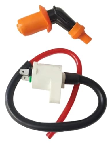 �p �X�N�[�^�[ �p �f�B�I50 ZX50 GY6 50 GY6 125 GY6 150 139QMB 152QMI 157QMJ �d���C�O�j�b�V�����R�C���L�[�X�C�b�`�p �o�C�N�p�X�p�[�N�R�C��