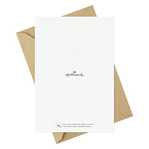 Hallmark Cartões de Natal em caixa sortidos, feriados vintage (6 desenhos, 36 cartões com envelopes)