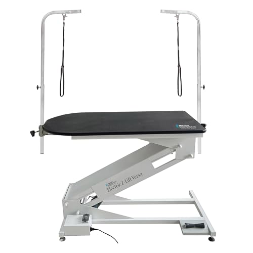 Master Equipment Z Lift Versa Electric Table 47x23in White