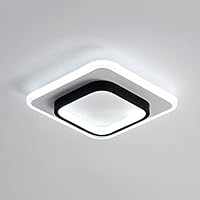 DELIPOP Lámpara de Techo Moderna, Plafon LED Techo acrílica 22W, Luz de Techo Forma Cuadrado, Iluminación para Pasillo Comedor Balcón, Blanco Frío 6000K, L24*W24*H5CM