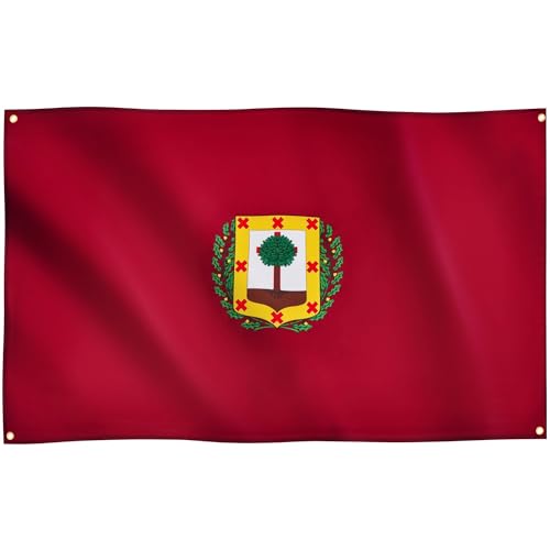 Runesol Vizcaya Flag, 91x152cm, 3ft x 5ft, 4 Grommets, Eyelet In Every Corner, Spanish Regional Flag, Biscay