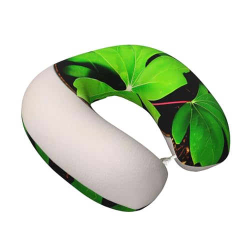 Almohada cervical de espuma viscoelástica negra miniatura 2