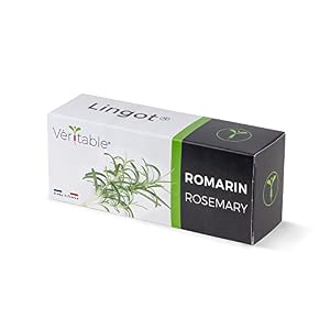 Lingot® Véritable® (Klassische Aromatische Kräuter, Rosmarin)