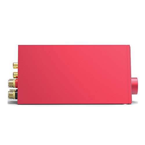 LOXJIE A10 Desktop Stereo Power Amplifier Digital Class-D High-Power Audiophile Level Amp Chip TPA3116 (Red)