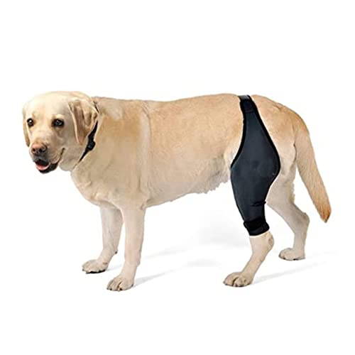 Image of Beaupretty Dog Leg Brace Neoprene Dog Brace Comfy Brace Dog Sling for Large Dogs Hind Leg Support Dog Back Leg Knee Brace for Dogs Dog Injured Knee Brace Pet The Dog Wiring Harness Knee Pads