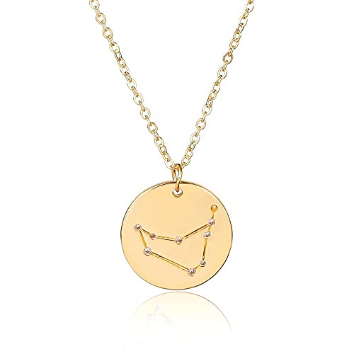 Collier Capricorne en acier inoxydable pour sublimer vos tenues d'été