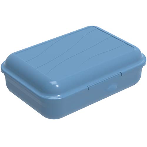 Rotho Fun Vesperdose 0.9l mit herausnehmbarer Trennwand, Kunststoff (PP) BPA-frei, blau, S/0.9l (17.7 x 12.9 x 6.0 cm)