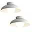 White, 2-Pack, 11.8