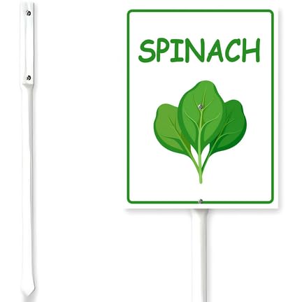 Horienteeon Spinach Sign With Stake Vegetable Garden Marker For Yard Fresh Herb Neighborhood Aluminum Outdoor Lawn Roads Street Wildflowers Porch Farmhouse Ranch Farm Courtyard 7x8.8"