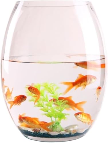 PVTK�ی^�萁���K���X������ �������t���[ �N���X�^���N���A�݌v �e�[�u���A�N�A���E�� �ϗt�A�����k�͔|���p �������C���e���A�ԕr �ƒ�p��������? (35cm)