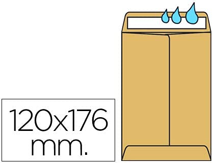 Sobre bolsa kraft salarios 120x176 mm tira de silicona caja de 1000 unidades.