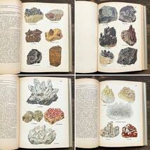 Amazon | 1923年ドイツの古い鉱物図鑑(DAS MINERALREICH
