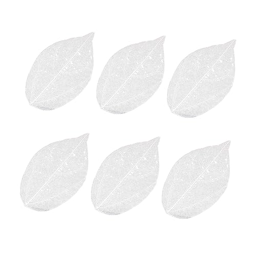 Hojas Naturales Esqueleto para Manualidades 6 piezas miniatura 1