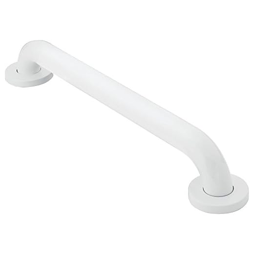 Moen R8716W Home Care 16-Inch Concealed Screw Bath Safety Bathroom Grab Bar, Glacier