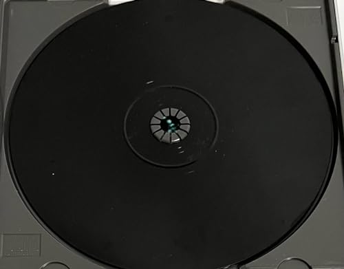 レーシングラグーンの関連画像3