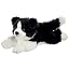 Shep Border Collie 13