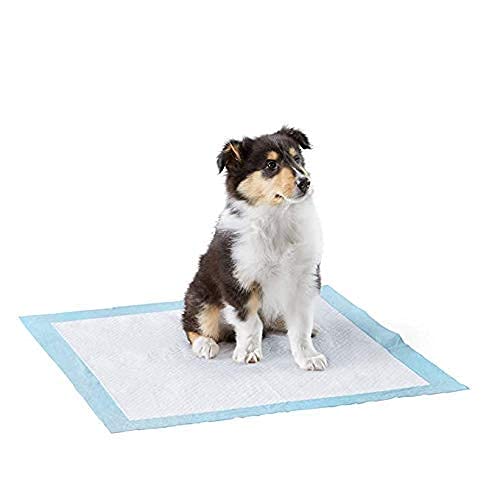 Pet Pads 120Pcs Pet Training Pads, 90x60cm, Drying Surface and Absorbent Core Suitable for Small and (B0BTW14JXN) Amazon Price History, Amazon Price Tracker