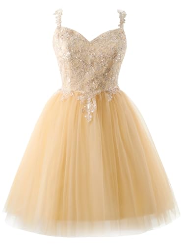 Women's Homecoming Dresses Short Spaghetti Straps Sparkly Lace Applique Short Prom Dresses 20242