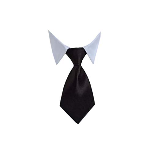 Set Cappello Cravatta per Animali Domestici