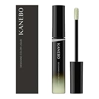 Amazon.co.jp: KANEBO(カネボウ) デザイニングカラーリクイド 04