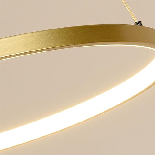 Suspension LED cercle d'or luminaire rond dimmable - 5