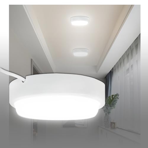 LED oX[Cg LEDV[OCg  h hJ^ ^V[OCg d20v Px4000lm 200W LED V[OCg 6 8pLED VƖ ȃGl IP65hho ی^V[OCg _EC