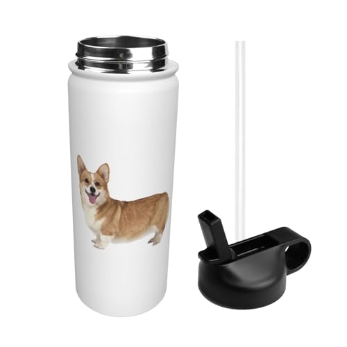  R[M[ Aj} 킢 X|[c{g @r e q l  Xg[t ۉۗ  v[g Mtg