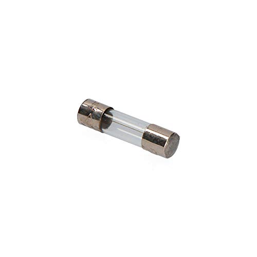 Preisvergleich Produktbild Sicherung aus Glas 6 x 24 16 A