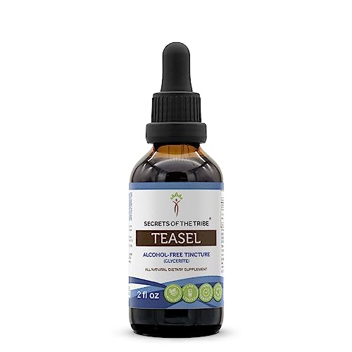 Secrets Of The Tribe Teasel Alcohol-Free Liquid Extract, Teasel (Dipsacus Fullonum, Dipsacus Sylvestris) Dried Root Tincture Supplement 2 Oz #TOP17