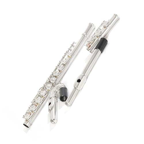 16 N[Yhz[ C g[xgpCv_u}EXs[Xv̉tyt[g t[g؊Ǌy