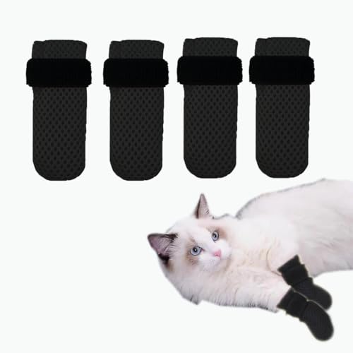 Cat Mittens The 15 best products compared Wild Explained