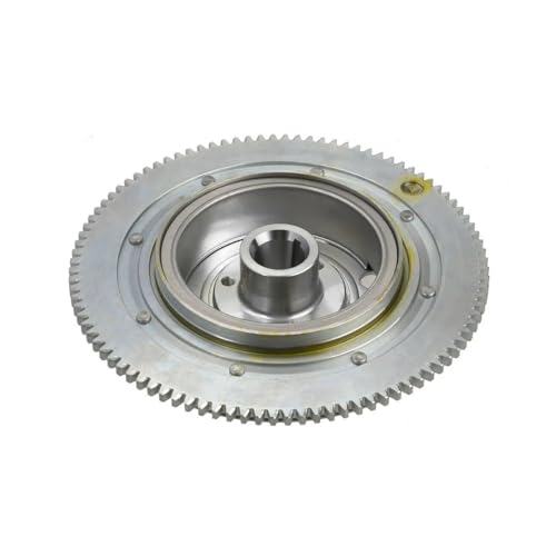 Volant Moteur Hors-Bord 2 Temps 50-70cv avec Rotor Remplacement 6K5