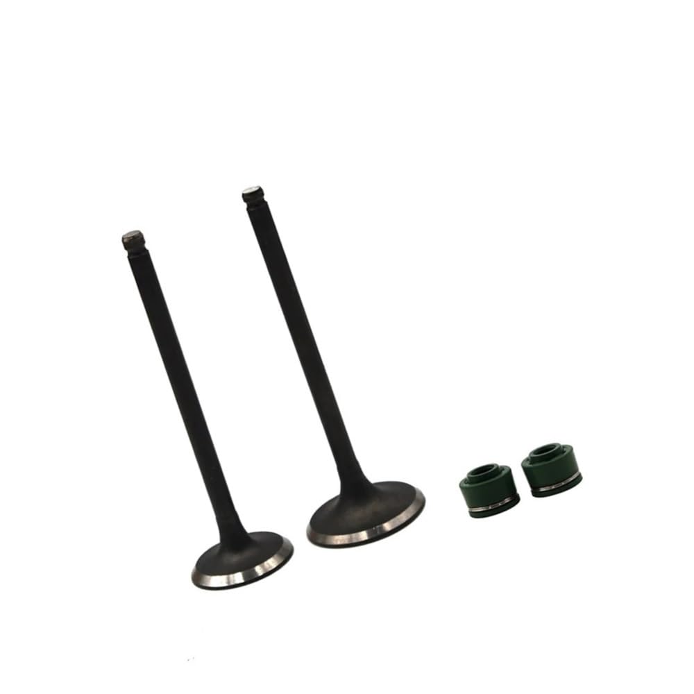 Huatlsdyg 1 Pair Motorcycle Stem Kit Fit For Yamaha Ttr250 Ttr 250 4Gy-12111-00-00(1 Pair)