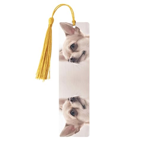 킢`vgǏy[W}[J[ubN}[NA^bZtؐubN}[N5A{Dւ̃MtgB