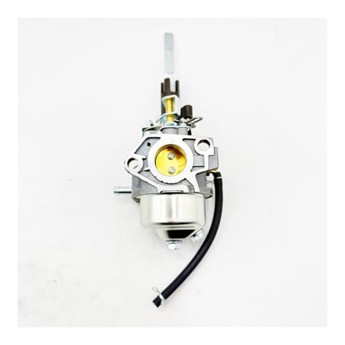 Carburateur LCT AX291 pièce moteur L11D référence 23101 compatible 20001108