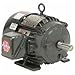 U.S. Motors US Motors Hostile Duty TEFC, 3 HP, 3-Phase, 1175 RPM Motor, H3P3G