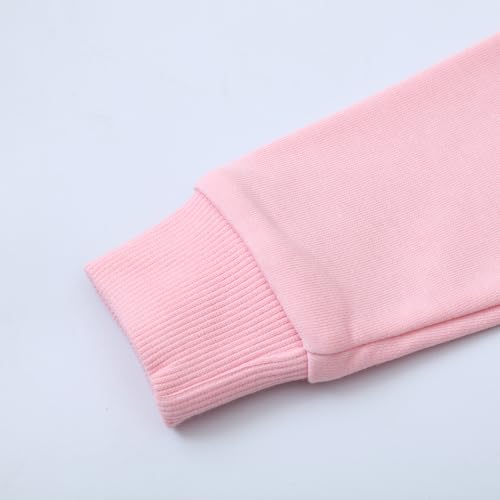 Image of Bumeex Girls Cotton Crewneck Cute Sweatshirts The Hedgehog and The Fox Pink 2-7T