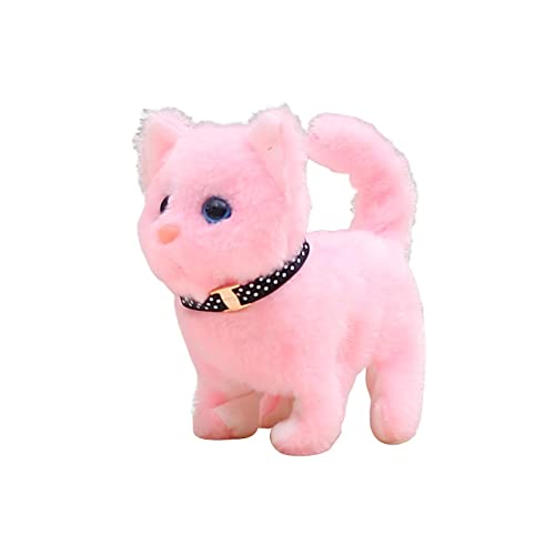 PEWETE dL̒uRpjImxeBAȔL̐l`ʂݎʐ^̏p[eB[̍Dӕ̑aMtgq̂