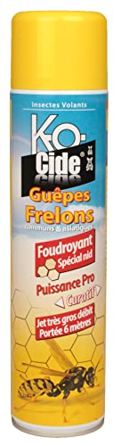 K-OCIDE - Foudroyant Guêpes et Frelons - Destruction Nids - Longue Portée - Très Gros Débit - 600 ml