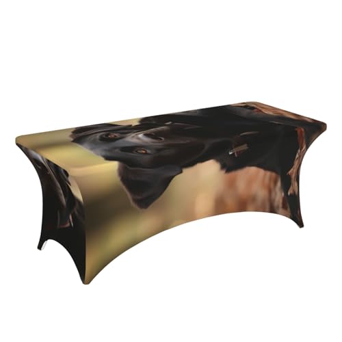 Nappe de table rectangulaire élasthanne 1m80 lavable sans repassage - 4