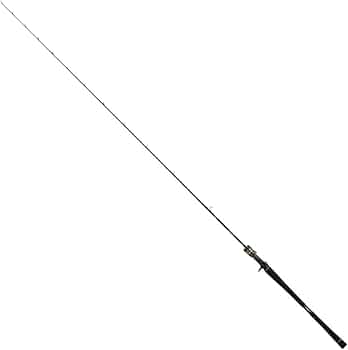 DAIWA　釣り竿　SALTIGA 31rl3BaD-SL._AC_UF350,