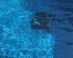 easy was to clean your pool