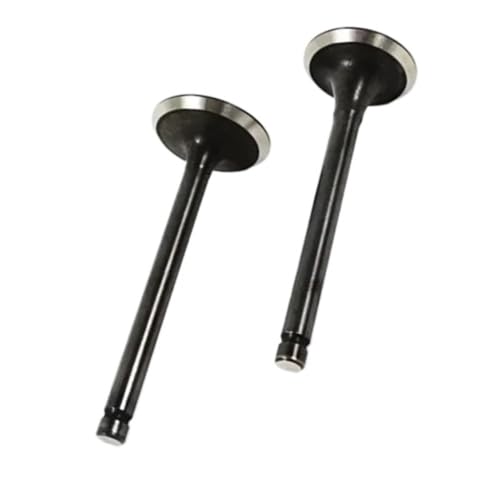 Soupapes de rechange EX21 EX17 pour fuite de compression