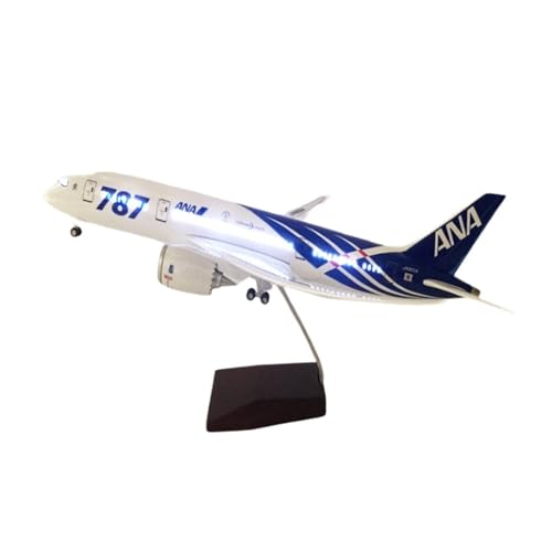 Modelos a Escala Aviones B787 Regalo Exclusivo de Aviación Colección con Luces