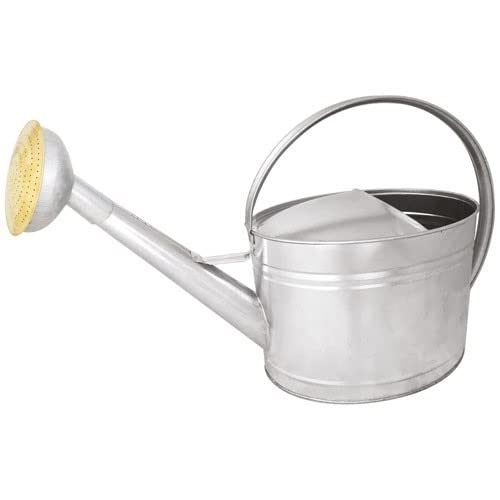 Arrosoir 10L acier galva robuste anti-corrosion avec pomme laiton fine