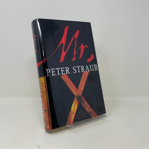 Mr. X view 2