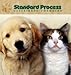Standard Process Canine Flex Support - 100 Wafers.