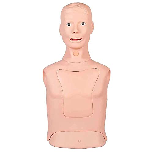 Foccar Intubation Gastric Tube Model Training Manikin Advanced Nasogastric Tube And Trachea Care Model Gastric Lavage Tracheostomy Model #TOP1